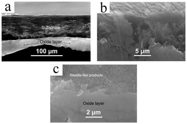 Thin Oxide Layer (Microscopic View)