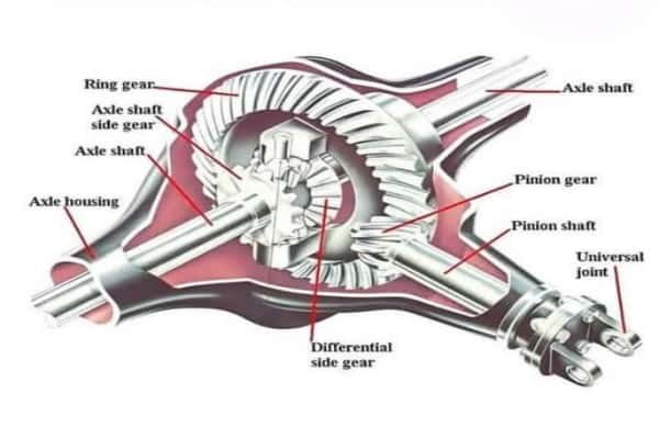 Pinion Gear Mechanism
