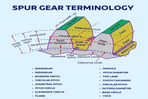 Spur Gear Terminology