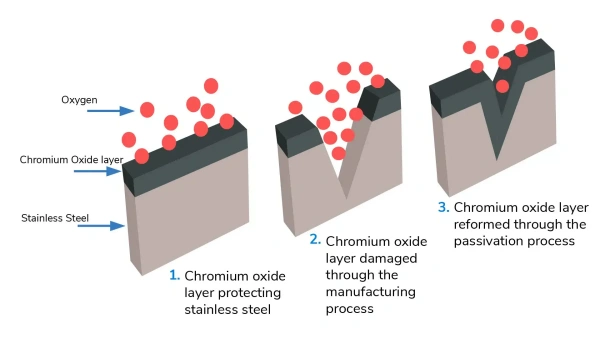 Protective Chromium Oxide Layer